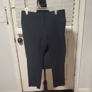 Ann Taylor Black Petite Ankle Pants